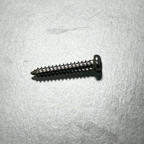 Hindi kinakalawang na asero 304 Philip Screws Self-tapping Screw